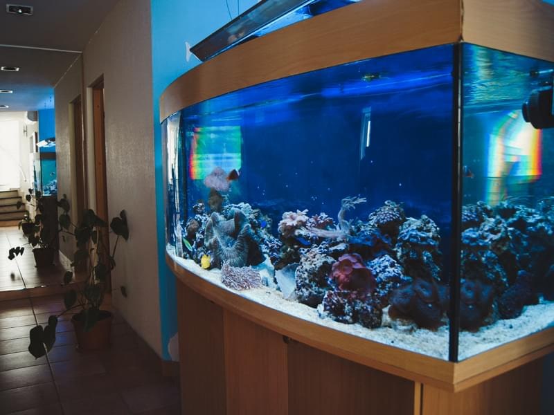 Визуальное расширение пространства и ощущение легкости и простора