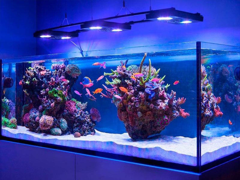 изготовлен из закаленного или ламинированного стекла